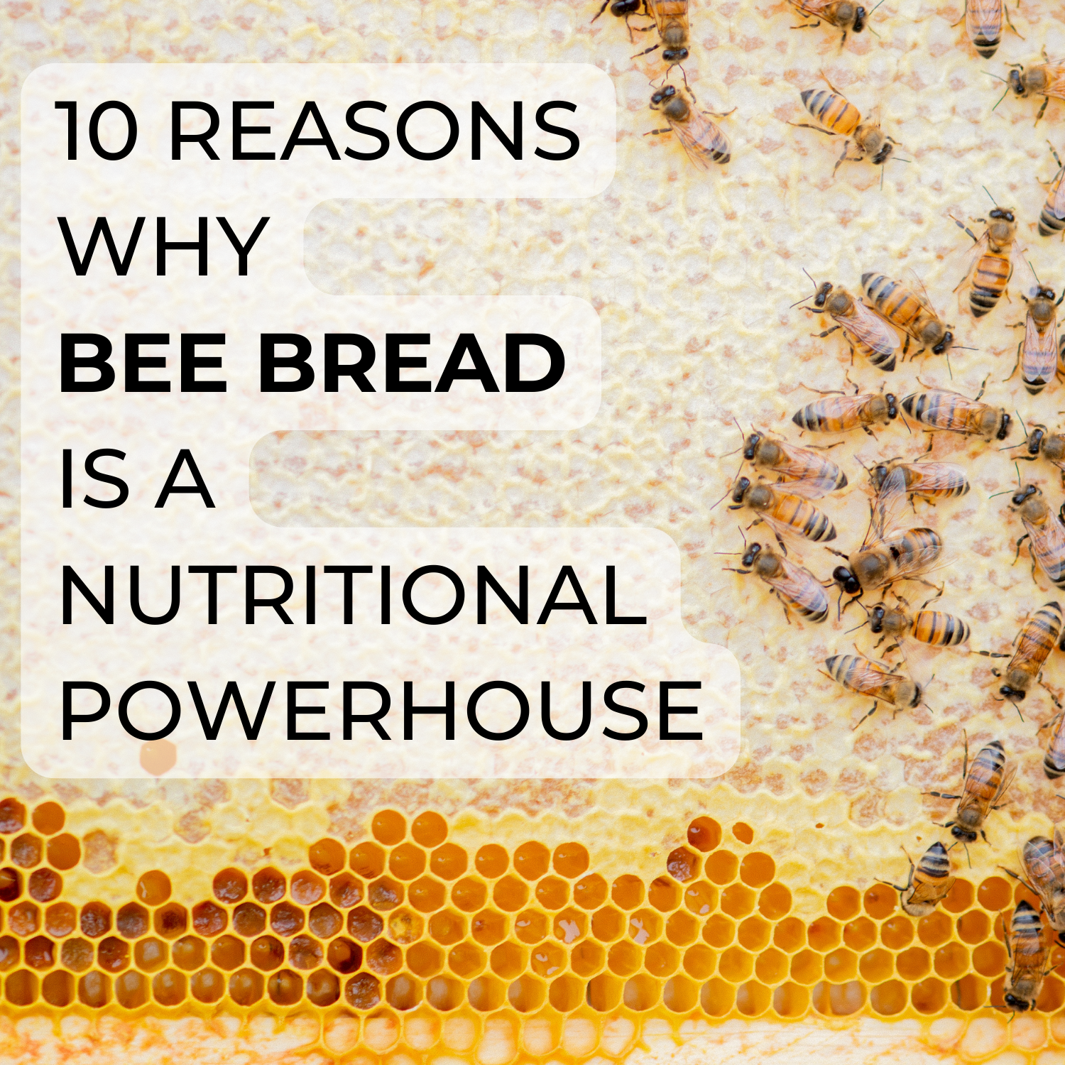 Bee Bread: a Nutritional Powerhouse