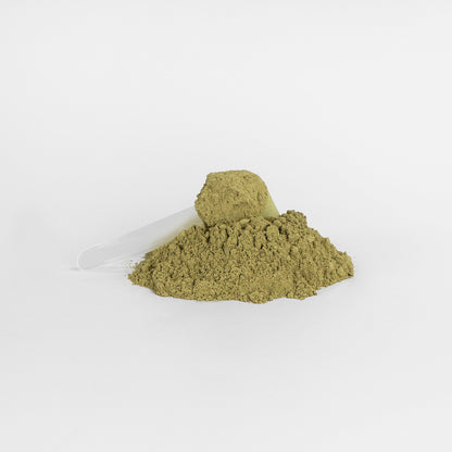 A mound of greenish-brown Habitly Assure Greens Superfood Powder, featuring a transparent scoop partially submerged in the heap, is displayed against a plain white background.